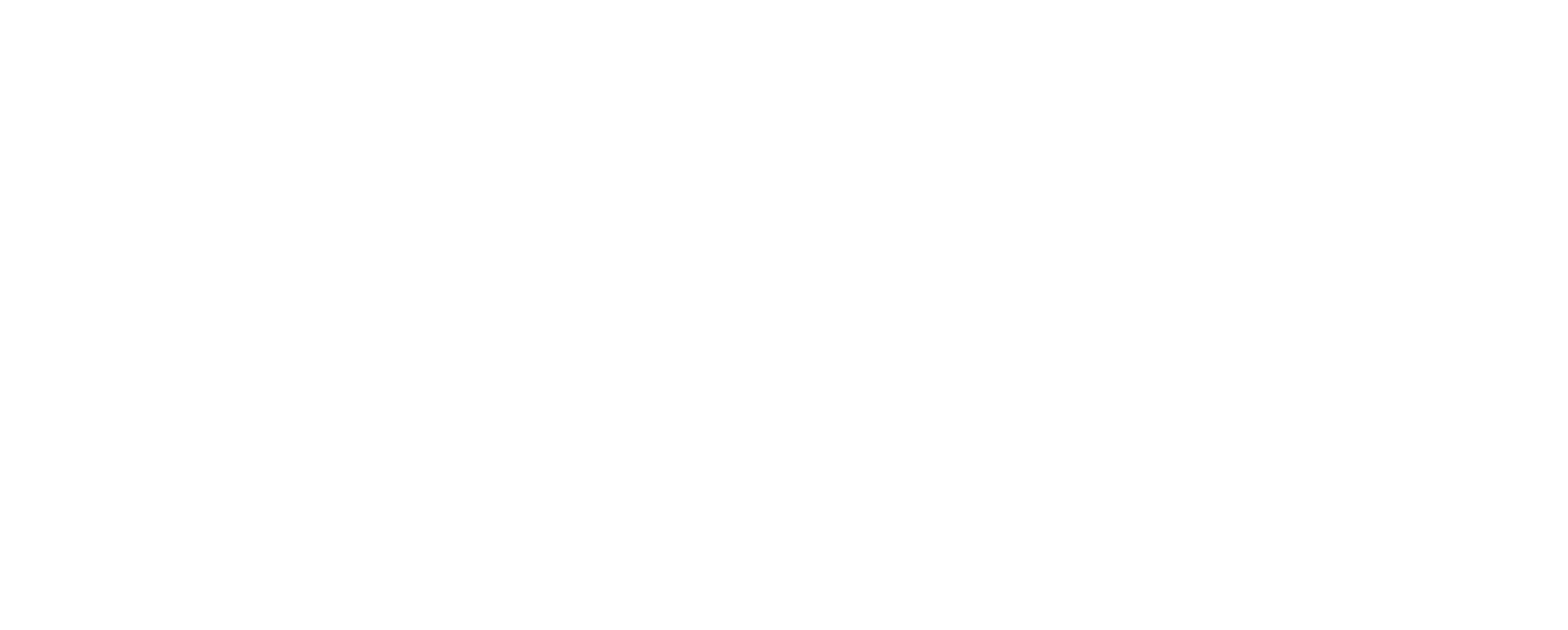 Andrea Salinas for Congress